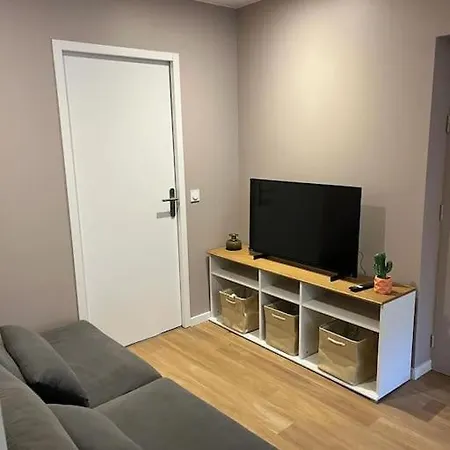 公寓 Saint-etienne Hyper Centre 圣艾蒂安